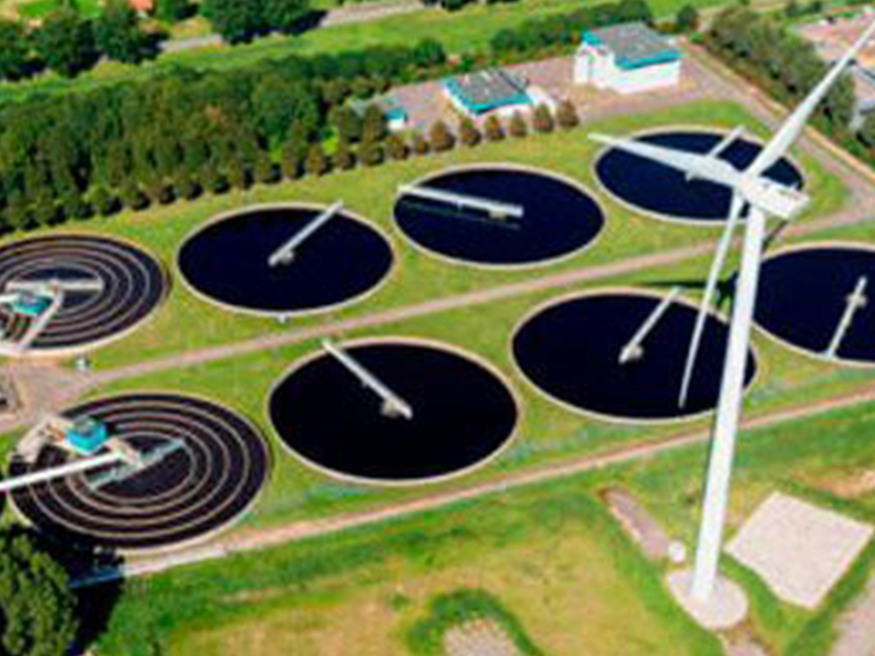 Medioambiente